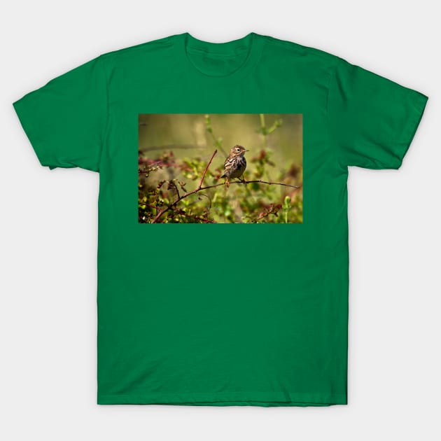 Young Sky Lark enjoying a rest in the sunshine T-Shirt by Violaman